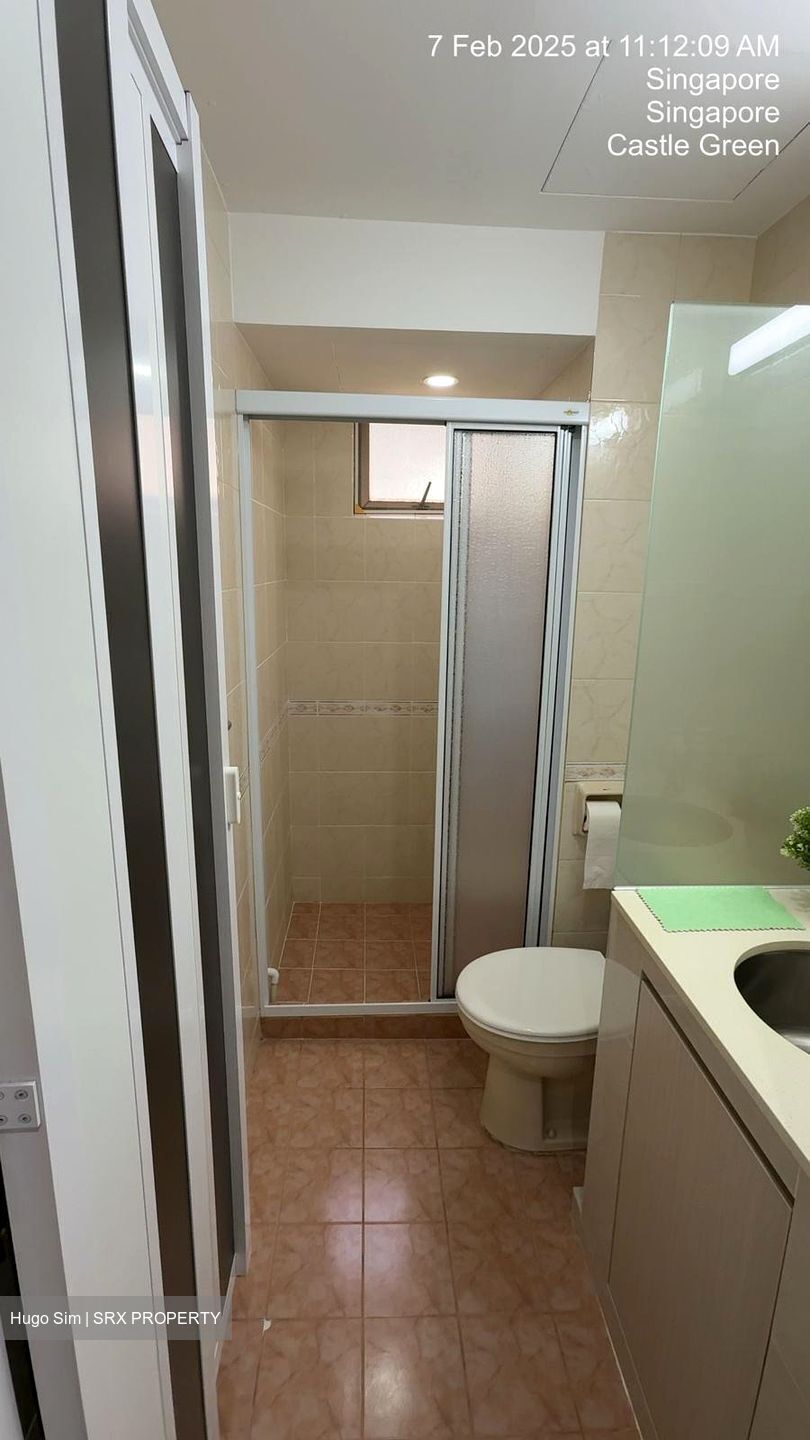 Castle Green (D26), Condominium #452906391